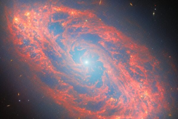 James Webb revela galáxia espiral NGC 5134 a 65 milhões de anos-luz (Imagem: ESA/Webb, NASA e CSA, A. Leroy)