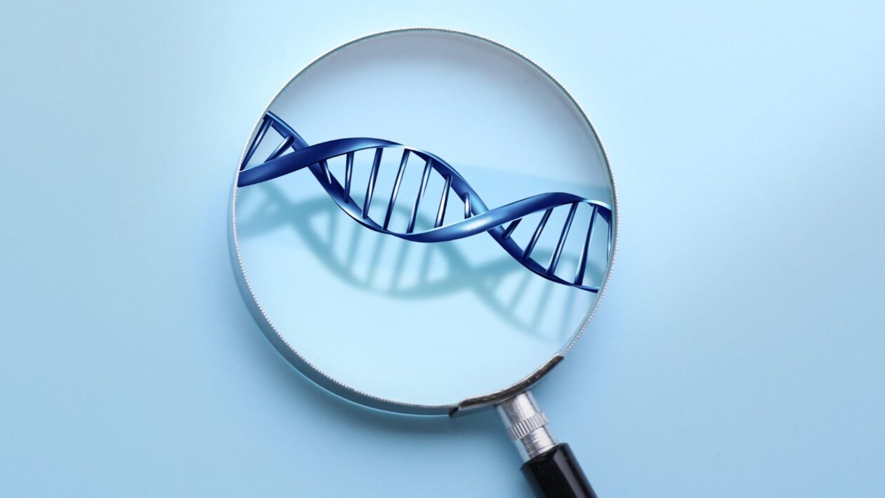 Macrófagos amadurecem graças ao regulador MafB. (Foto: Africa Images via Canva)