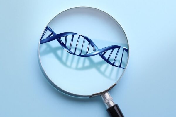 Macrófagos amadurecem graças ao regulador MafB. (Foto: Africa Images via Canva)