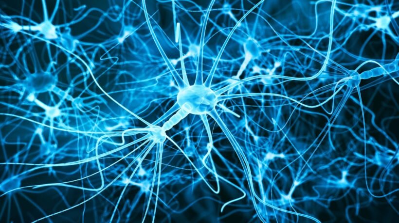 Molécula do envelhecimento mantém neurônios saudáveis. (Foto: Getty Images via Canva)