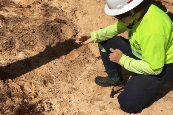 Fósseis indicam que o Paraná já foi coberto por um mar antigo (Imagem: Nasor Paleontologia e Geologia/ Divulgação)
