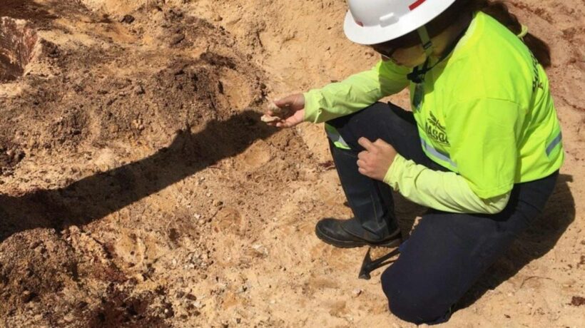 Fósseis indicam que o Paraná já foi coberto por um mar antigo (Imagem: Nasor Paleontologia e Geologia/ Divulgação)