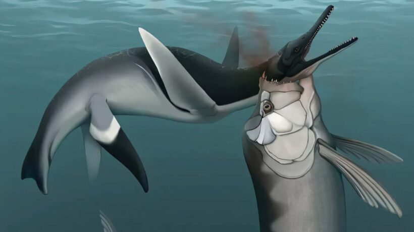 Fóssil revela ataque raro entre predadores gigantes do Cretáceo (Imagem: Universidade do Tennessee)