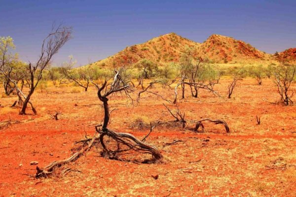 Rochas revelam que placas tectônicas já se moviam há bilhões de anos (Imagem: Getty Images via Canva)