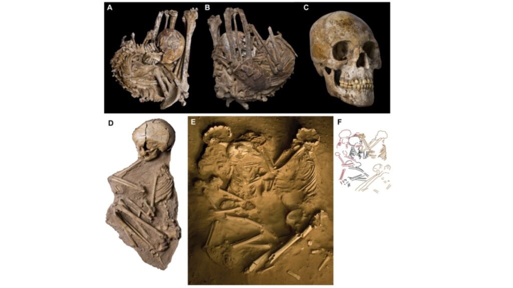 Vista superior de sepultamento flexionado, com artefatos, crânio, ornamentos e enterro triplo interligado (Imagem: Sereno et al., PLoS ONE 2008/ CC BY)
