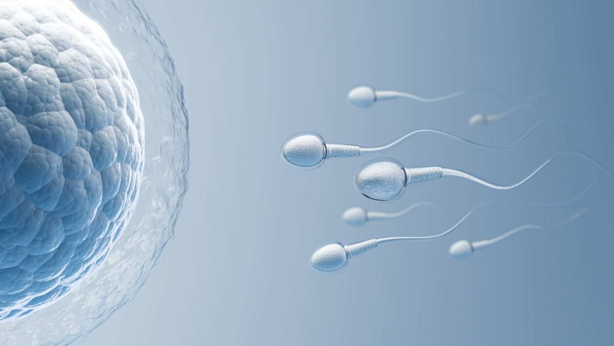 Sem gravidade, espermatozoides se perdem e fertilização diminui no espaço (Imagem: Fluid Design Images via Canva)