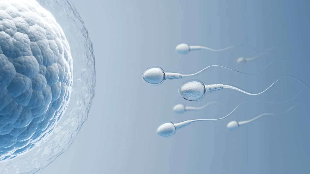 Sem gravidade, espermatozoides se perdem e fertilização diminui no espaço (Imagem: Fluid Design Images via Canva)