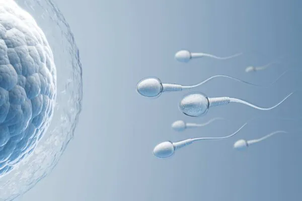 Sem gravidade, espermatozoides se perdem e fertilização diminui no espaço (Imagem: Fluid Design Images via Canva)