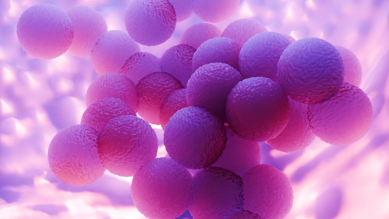 Ilustração da bactéria Staphylococcus aureus resistente. (Foto: Peddalanka Ramesh Babu via Canva)