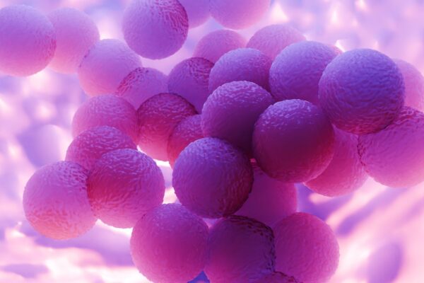 Ilustração da bactéria Staphylococcus aureus resistente. (Foto: Peddalanka Ramesh Babu via Canva)