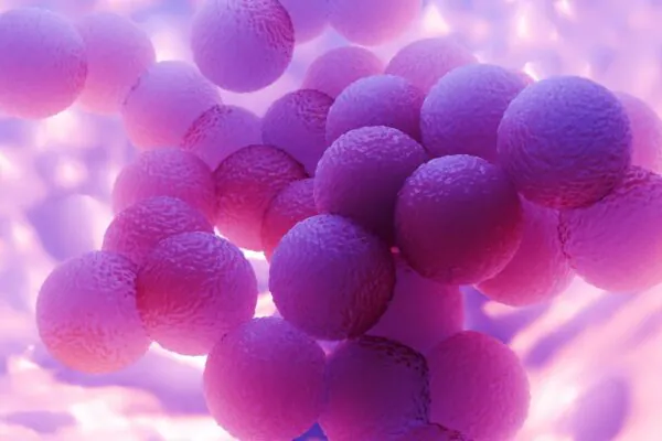 Ilustração da bactéria Staphylococcus aureus resistente. (Foto: Peddalanka Ramesh Babu via Canva)