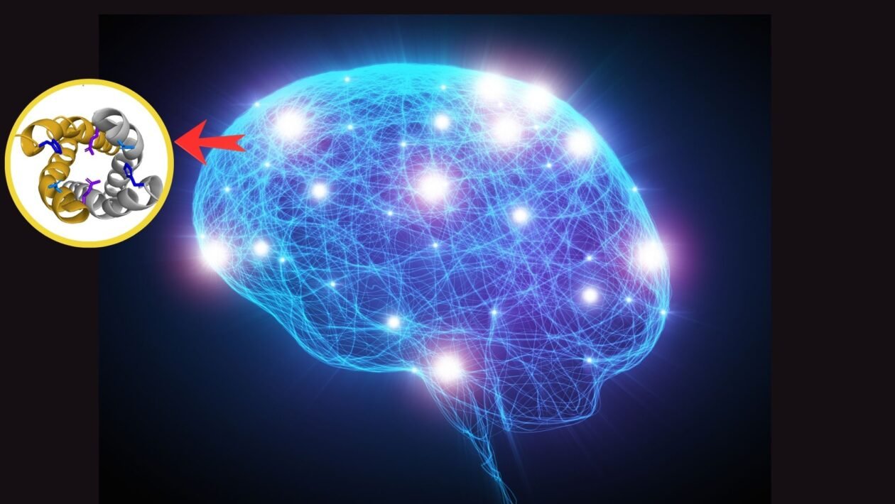 Estudo revela papel do TMEM175 no Parkinson. (Foto: Getty Images via Canva e Tobias Schulze el al via PNA)