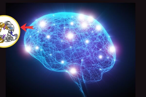 Estudo revela papel do TMEM175 no Parkinson. (Foto: Getty Images via Canva e Tobias Schulze el al via PNA)