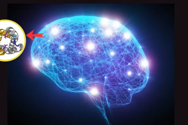 Estudo revela papel do TMEM175 no Parkinson. (Foto: Getty Images via Canva e Tobias Schulze el al via PNA)