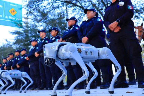 Robôs quadrúpedes patrulham estádio para proteger torcedores (Imagem: Prefeitura de Guadalupe/ Divulgação)