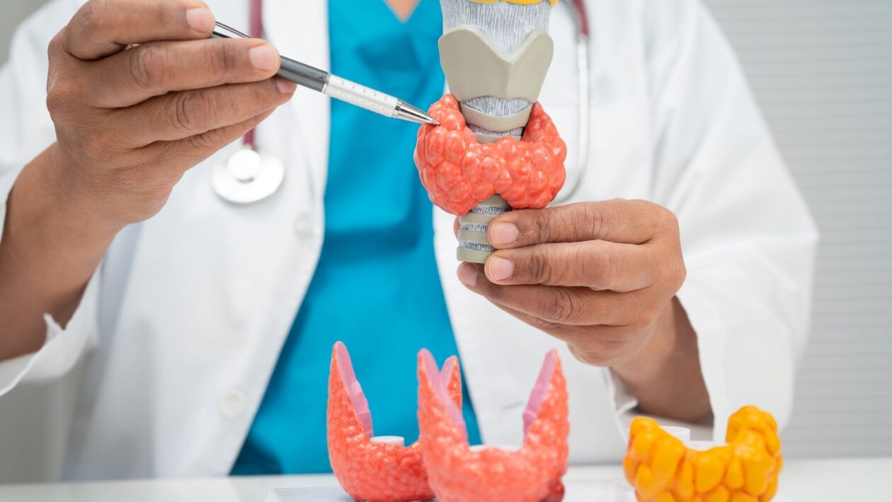 Estudo aponta aumento de câncer de tireoide em jovens. (Foto: Pamai's Images via Canva)