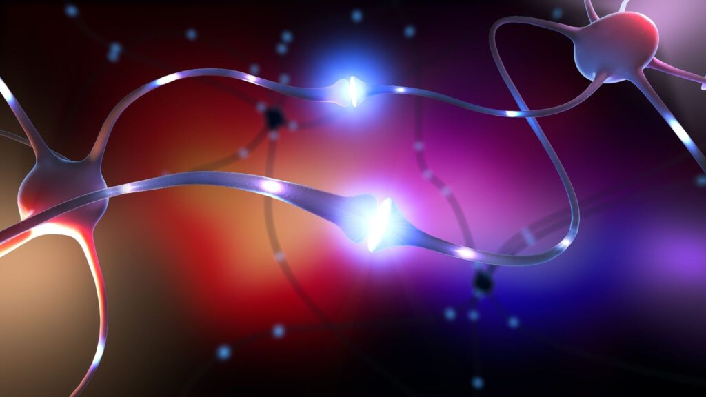 Medicamento atua nas sinapses que controlam sinais cerebrais. (Foto: Getty Images via Canva)