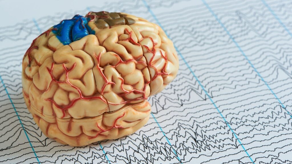 Ondas cerebrais influenciam seu nível de foco. (Foto: Getty Images via Canva)