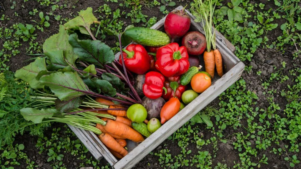 Alimentos naturais, frescos e sem agrotóxicos. (Foto: Getty Images via Canva)