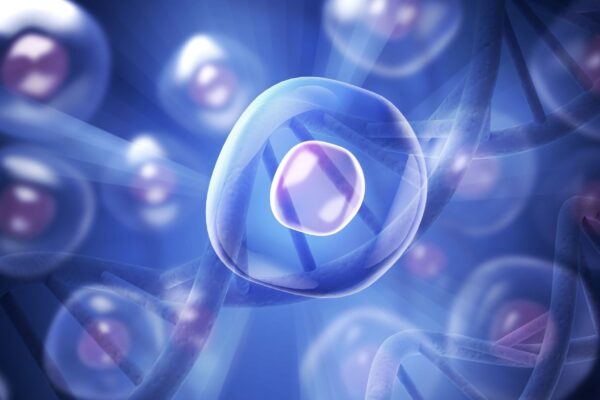 Estudo mapeia mudanças celulares em 21 órgãos. (Foto: Billion Images via Canva)