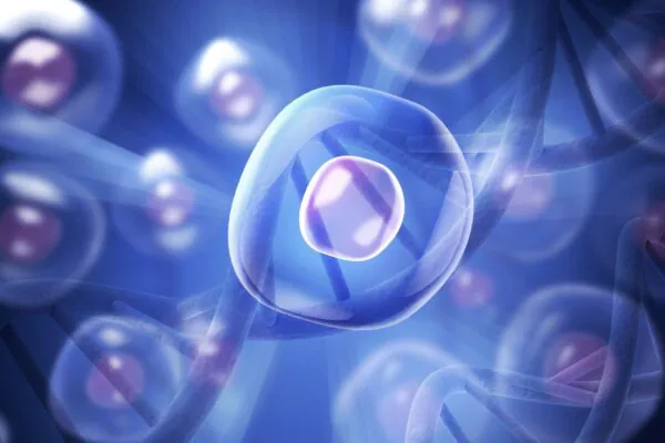 Estudo mapeia mudanças celulares em 21 órgãos. (Foto: Billion Images via Canva)