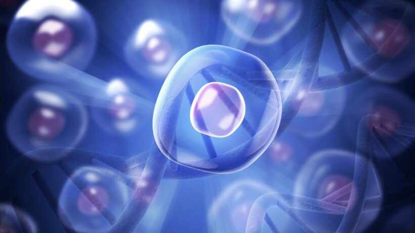 Estudo mapeia mudanças celulares em 21 órgãos. (Foto: Billion Images via Canva)