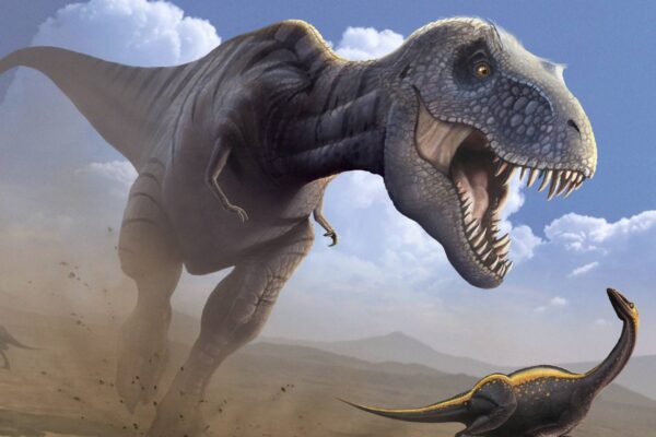 Estudo indica que o T. rex levava até 40 anos para crescer (Imagem: Photo Library via Canva)