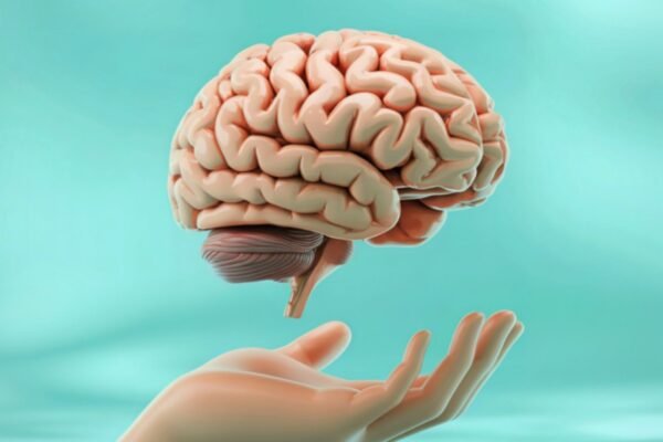 Cérebro pode nascer com padrões já definidos. (Foto: Daniel Constantinescu via Canva)