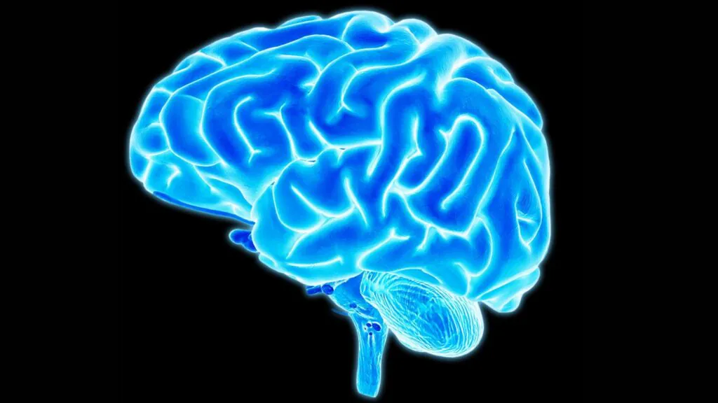 Estudo mostra atividade cerebral antes da experiência. (Foto: Getty Images via Canva)