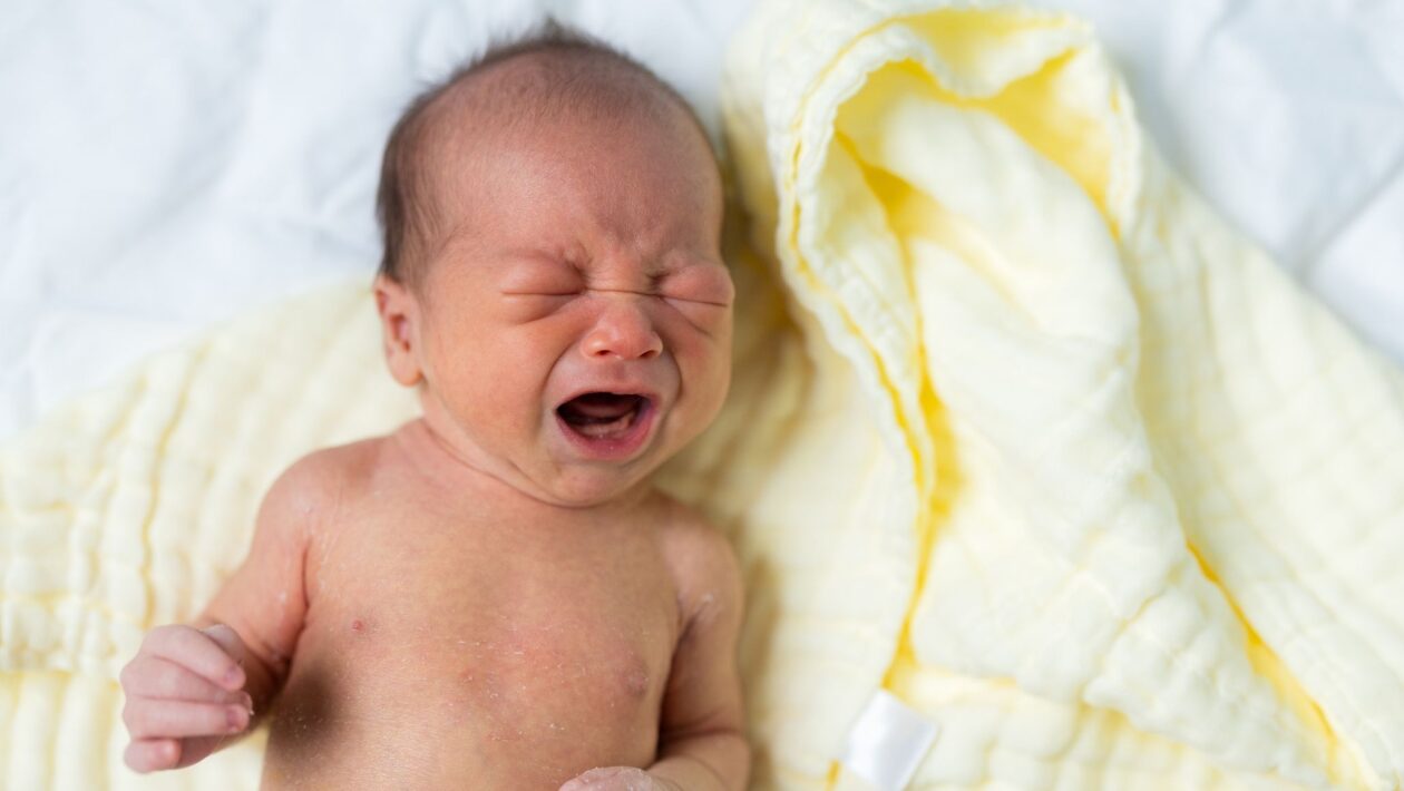 Inteligência artificial identifica dor em recém-nascidos. (Foto: Leung Cho Pan via Canva)
