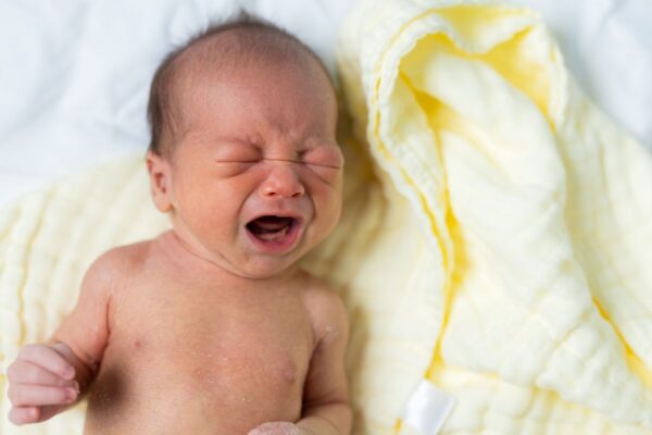 Inteligência artificial identifica dor em recém-nascidos. (Foto: Leung Cho Pan via Canva)