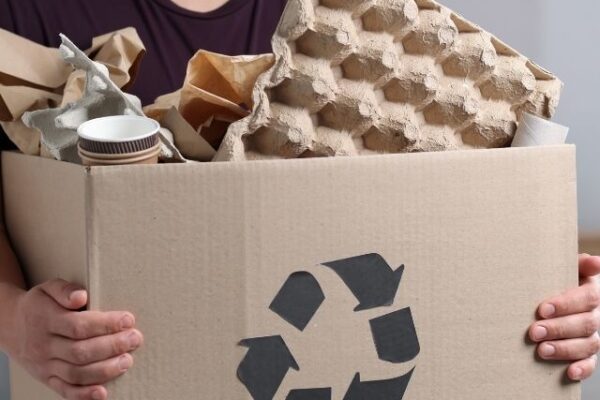 embalagens biodegradáveis