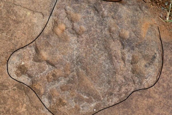 Pegadas pré-históricas aparecem em ruas de cidade mineira (Imagem: A professora Drª Melina M. Souza)