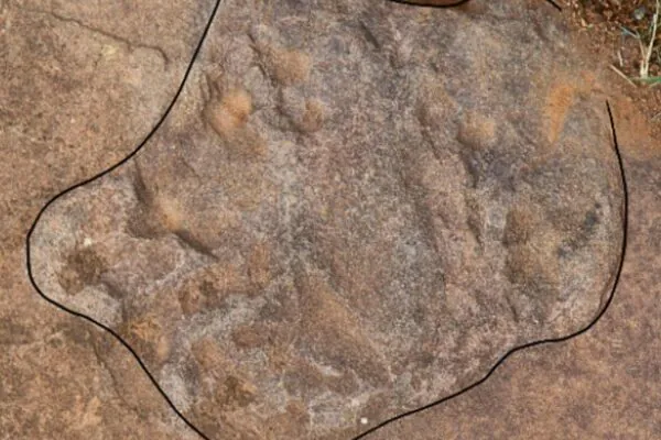Pegadas pré-históricas aparecem em ruas de cidade mineira (Imagem: A professora Drª Melina M. Souza)
