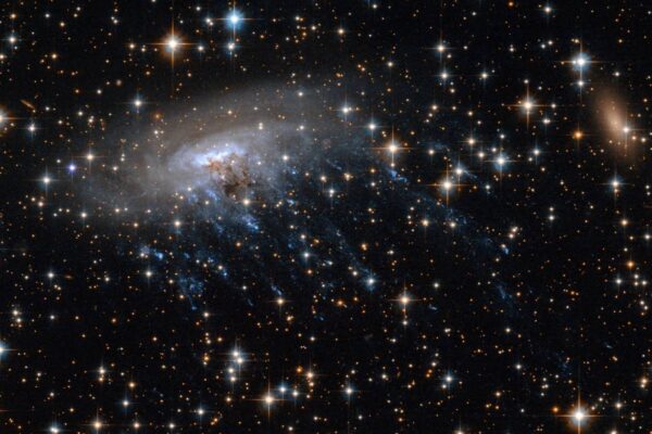 A espiral ESO 137-001 exibe filamentos azuis como tentáculos cósmicos (Imagem: NASA, ESA)