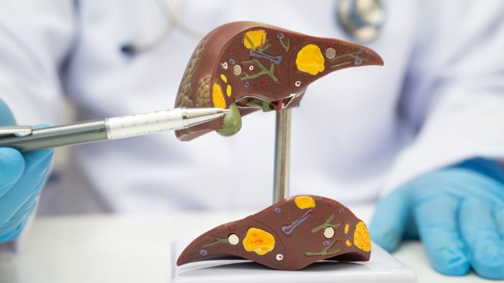 Descoberta pode evitar dano hepático grave. (Foto: Pamai's Images via Canva)