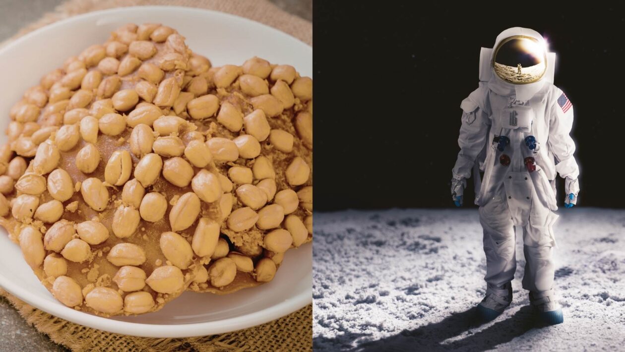 Grão-de-bico cresce em solo lunar simulado em novo experimento científico (Imagem: Stefanut Sava's Images (à esquerda) e Getty Images (à direita) via Canva)