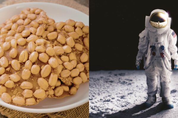 Grão-de-bico cresce em solo lunar simulado em novo experimento científico (Imagem: Stefanut Sava's Images (à esquerda) e Getty Images (à direita) via Canva)