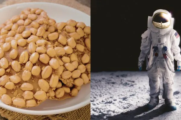 Grão-de-bico cresce em solo lunar simulado em novo experimento científico (Imagem: Stefanut Sava's Images (à esquerda) e Getty Images (à direita) via Canva)