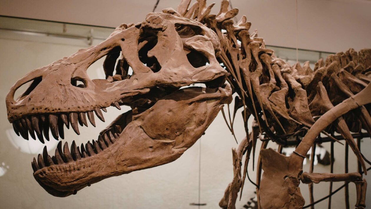 Museu simula odor do hálito do T. rex para visitantes (Imagem: Elisabeta Dirjan's Images via Canva)