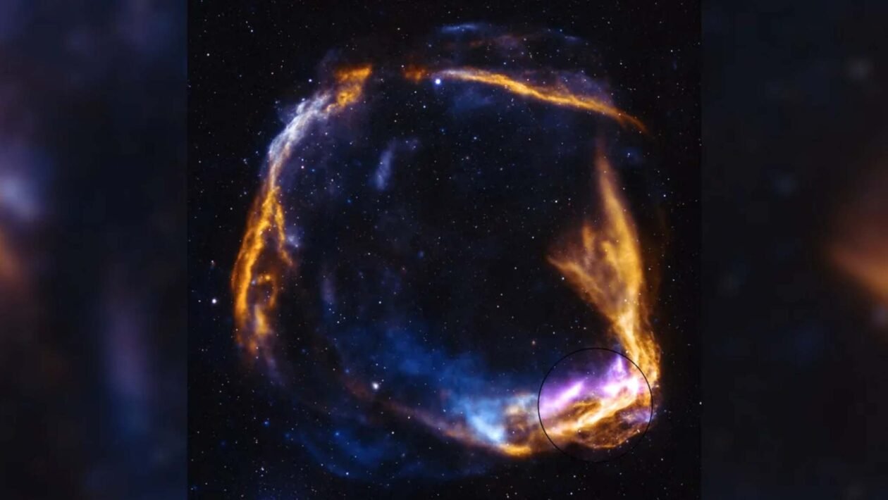 Nova imagem revela detalhes inéditos da supernova registrada no ano 185 d.C. (Imagem: Raios X: Chandra: NASA/CXC/SAO, XMM: ESA/XMM-NEWTON, IXPE: NASA/MSFC; Óptico: NSF/NOIRLab; Processamento de imagem: NASA/CXC/SAO/J. Schmidt)