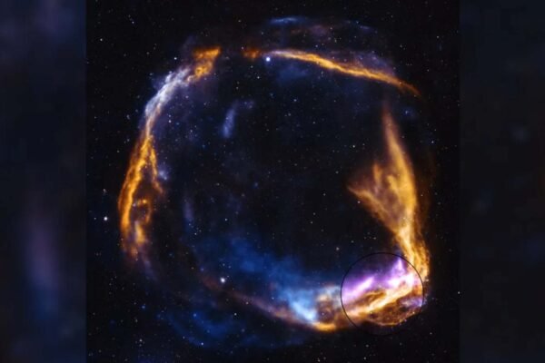 Nova imagem revela detalhes inéditos da supernova registrada no ano 185 d.C. (Imagem: Raios X: Chandra: NASA/CXC/SAO, XMM: ESA/XMM-NEWTON, IXPE: NASA/MSFC; Óptico: NSF/NOIRLab; Processamento de imagem: NASA/CXC/SAO/J. Schmidt)