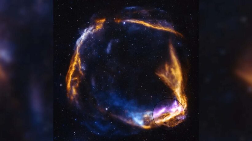 Nova imagem revela detalhes inéditos da supernova registrada no ano 185 d.C. (Imagem: Raios X: Chandra: NASA/CXC/SAO, XMM: ESA/XMM-NEWTON, IXPE: NASA/MSFC; Óptico: NSF/NOIRLab; Processamento de imagem: NASA/CXC/SAO/J. Schmidt)