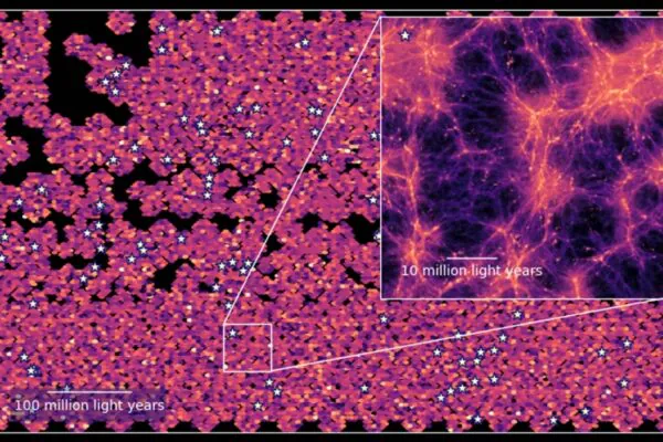 Maior mapa 3D do universo primitivo revela galáxias ocultas (Imagem: Maja Lujan Niemeyer/Instituto Max Planck de Astrofísica/HETDEX, Chris Byrohl/Universidade de Stanford/HETDEX)