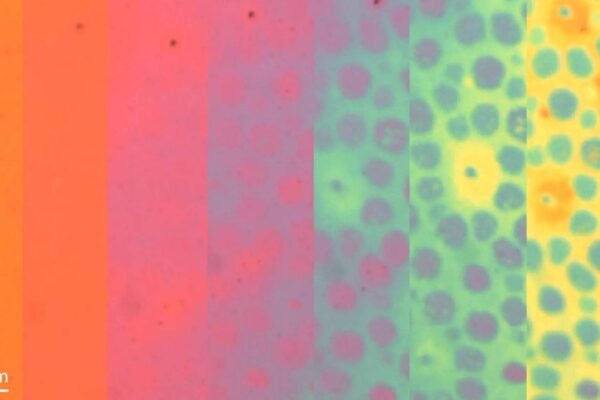 Sequência em time-lapse mostra a transformação dos padrões de cor em pele fotônica flexível (Imagem: Siddharth Doshi, Universidade de Stanford)