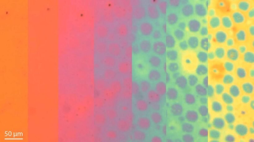 Sequência em time-lapse mostra a transformação dos padrões de cor em pele fotônica flexível (Imagem: Siddharth Doshi, Universidade de Stanford)