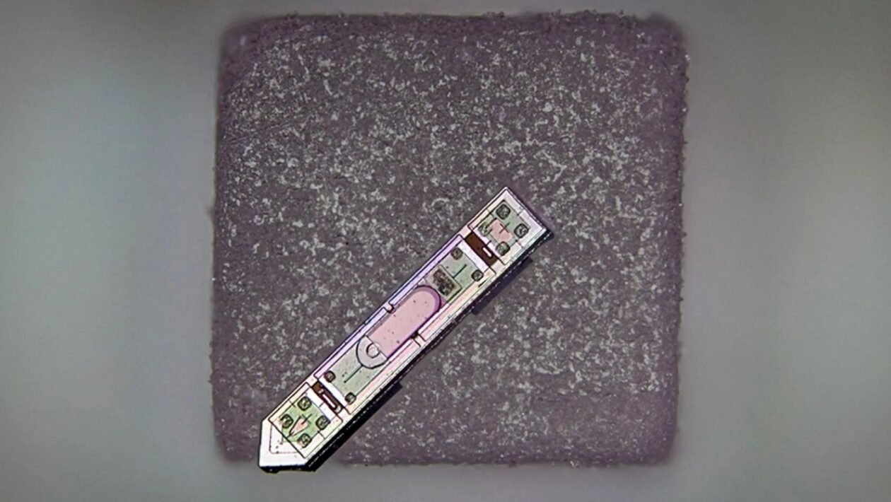 Menor implante neural do mundo envia sinais do cérebro sem fios, menor que um grão de sal. (Crédito: Sunwoo Lee / Universidade Tecnológica de Nanyang)