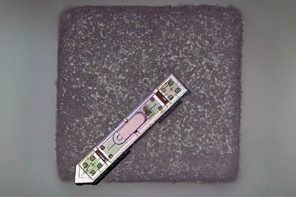 Menor implante neural do mundo envia sinais do cérebro sem fios, menor que um grão de sal. (Crédito: Sunwoo Lee / Universidade Tecnológica de Nanyang)