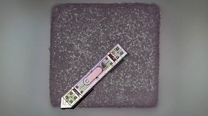 Menor implante neural do mundo envia sinais do cérebro sem fios, menor que um grão de sal. (Crédito: Sunwoo Lee / Universidade Tecnológica de Nanyang)