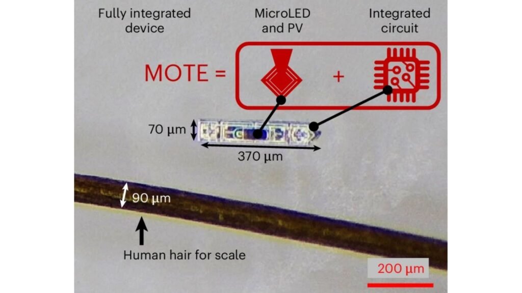 Imagem em microscopia óptica mostra o MOTE comparado a um fio de cabelo humano, destacando seu tamanho minúsculo. (Foto: Sunwoo Lee via Nature Electronics)